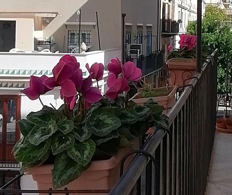 Calimero Luxury Suite Palermo Bagian luar foto